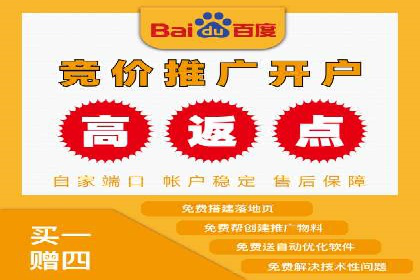 搜索引擎营销（SEM）广告的创意与执行案例